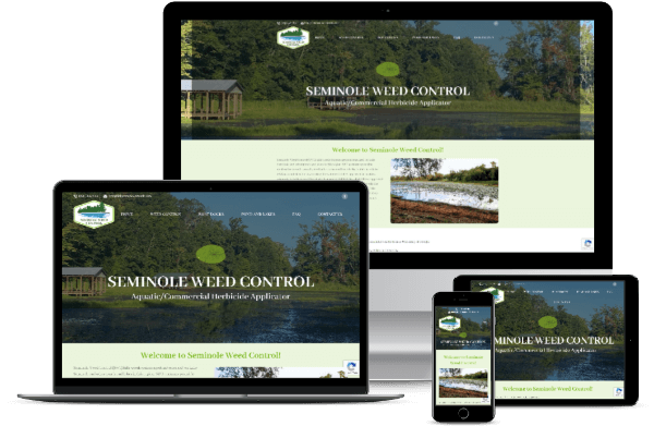 Website Portfolio