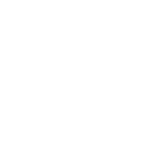 Search Engine Ranking