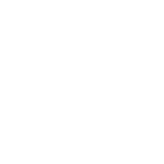 Optimization Techniques