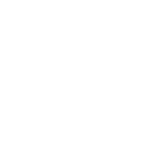 Quick Loading Speed